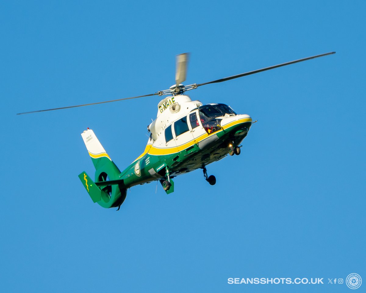 SeansShots tweet media