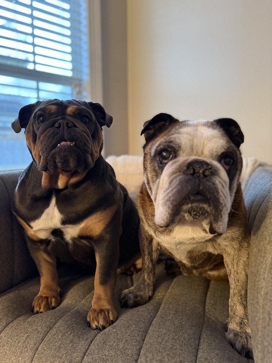 Chris Lambert tweet media