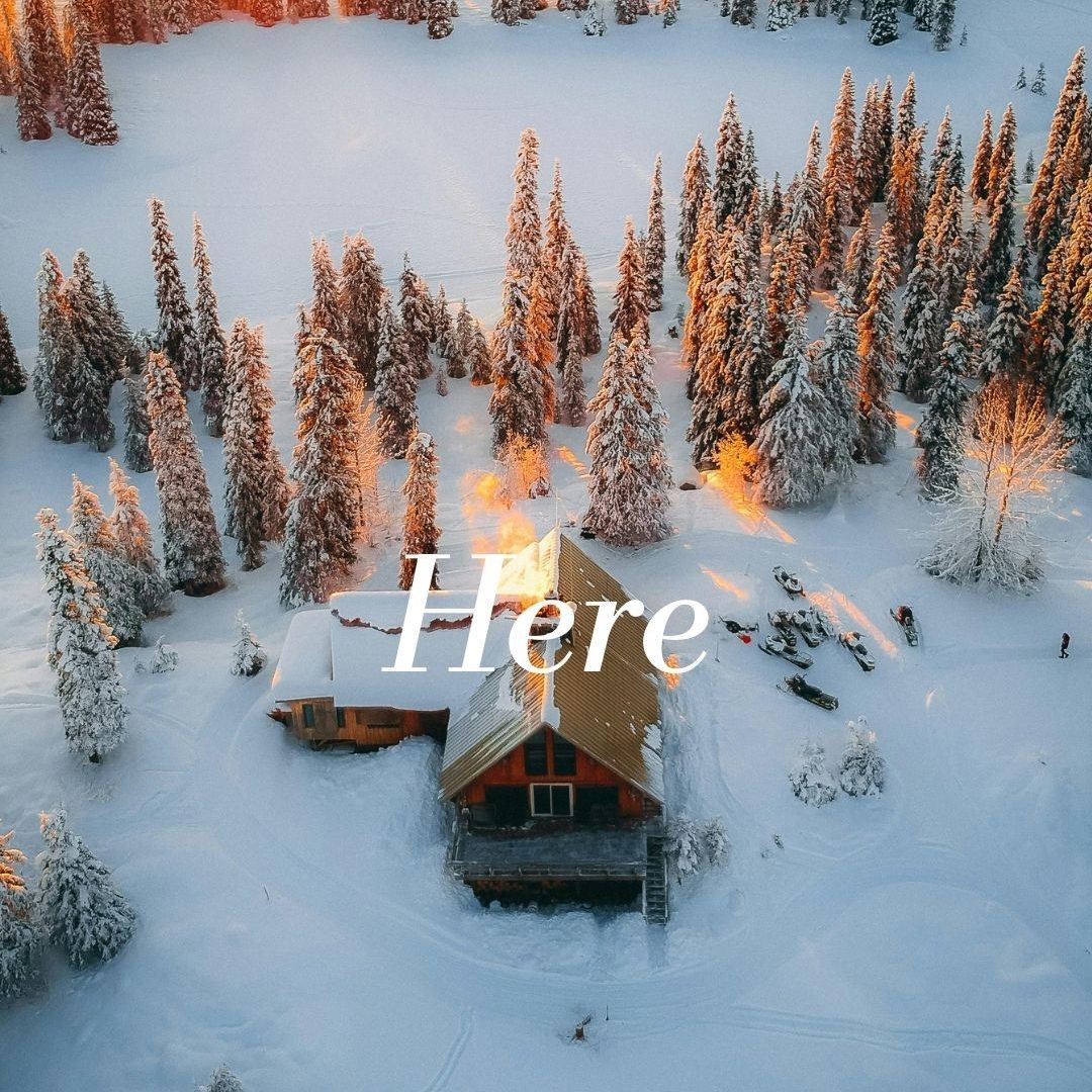 Printique by Adorama tweet media