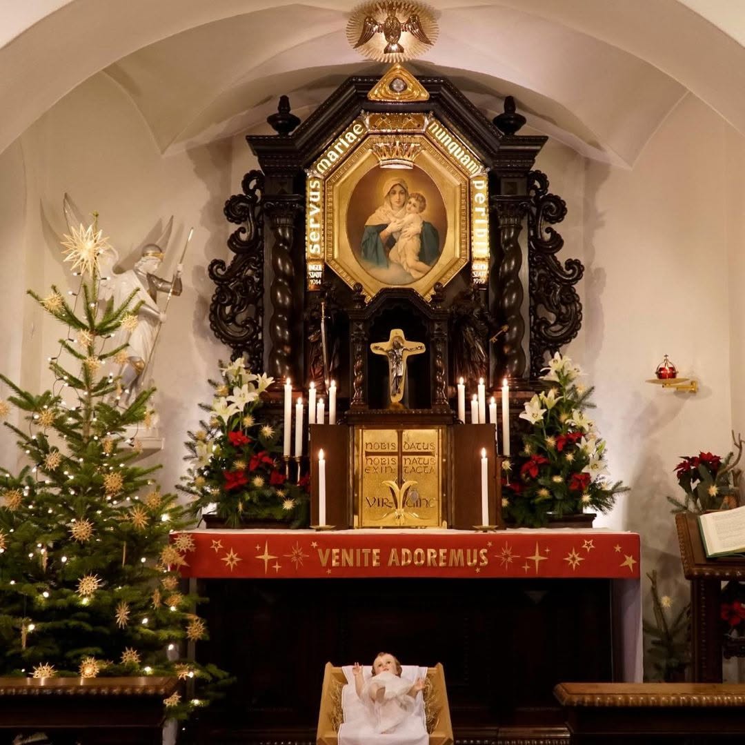 ES: ¡Feliz Navidad! Paz y alegría para todos.
 DE: Frohe Weihnachten! Frieden und Freude für alle.
 EN: Merry Christmas! Peace and joy to all.
 PT: Feliz Natal! Paz e alegria para todos.