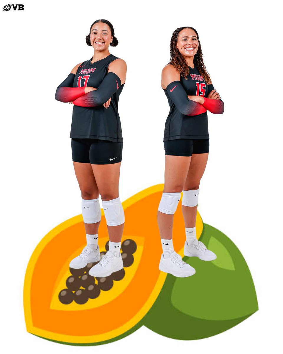 MSUM_Volleyball's tweet image. elf on shelf: MSUM VB EDITION 🎄🏐

Merry Christmas &amp;amp; Happy Holidays ❤️‍🔥

#ROLLDRAGS