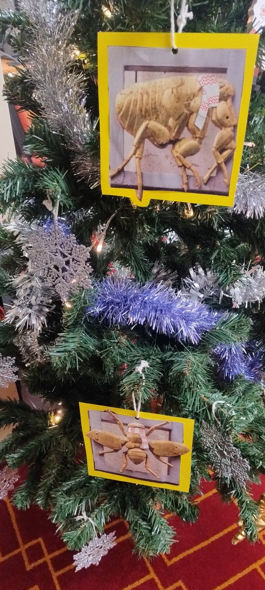 LSHTM Library tweet media