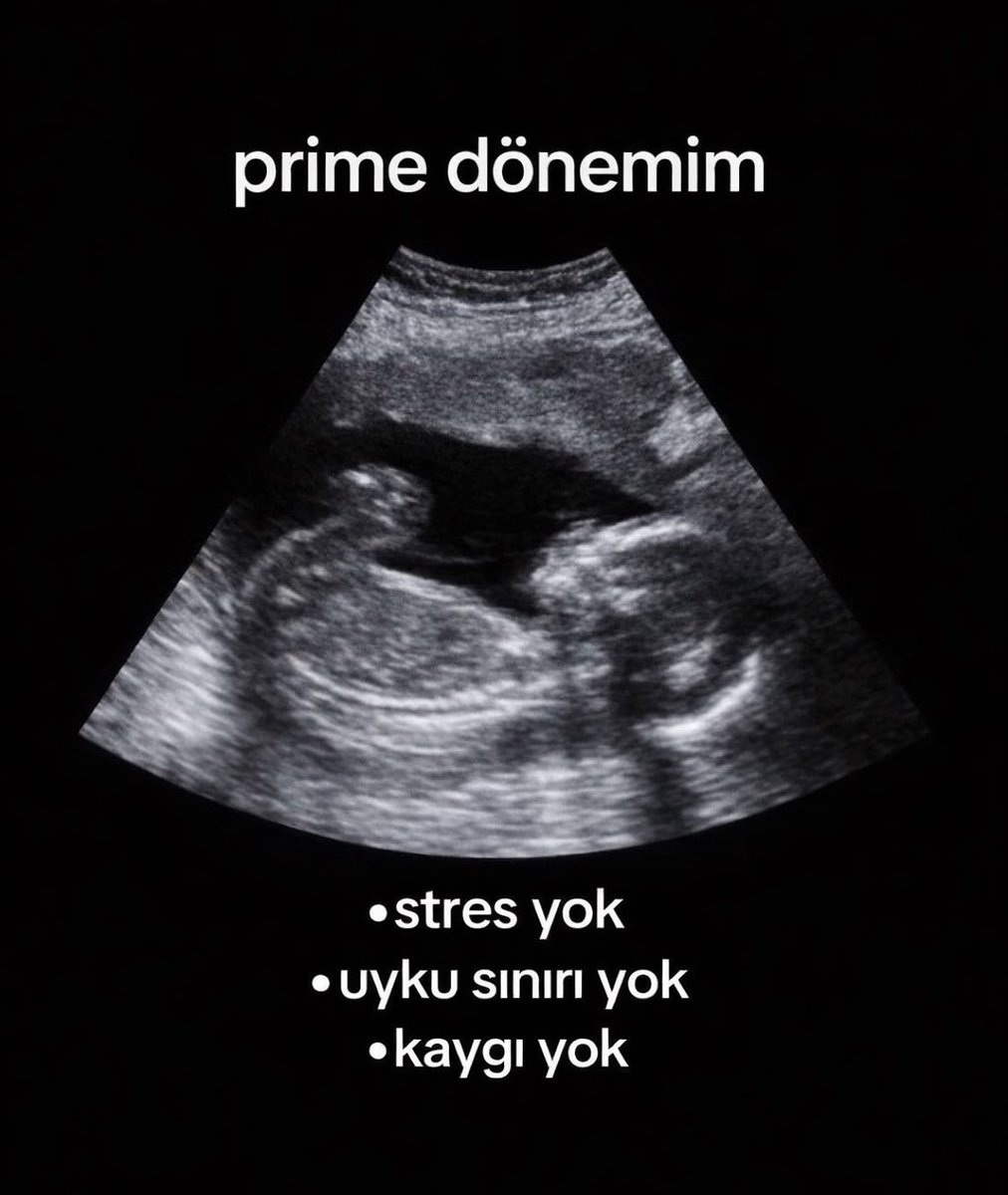 Başak | Yay | Aslan 

burçlarının prime dönemi: