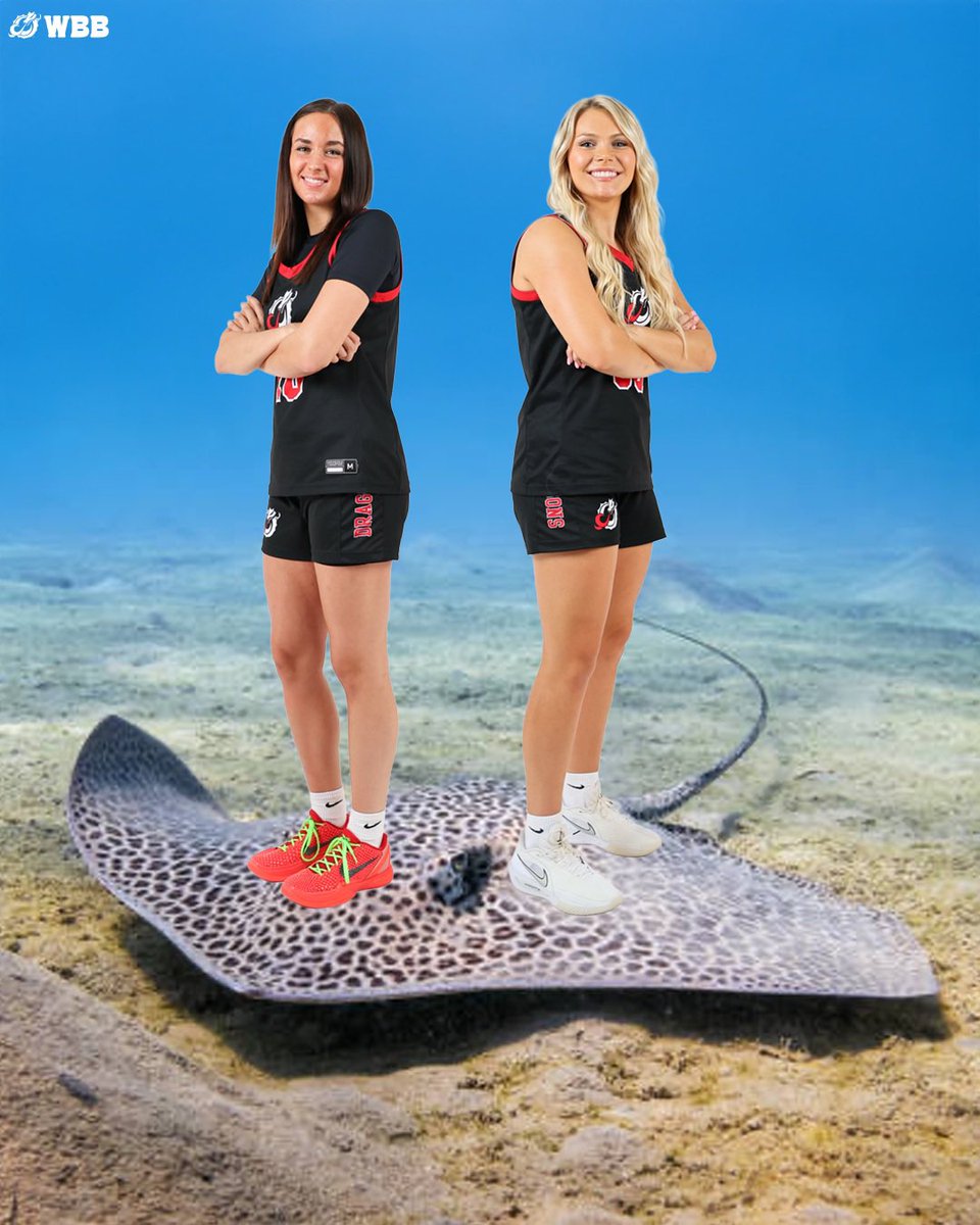 MSUM_WBB's tweet image. elf on a shelf: MSUM WBB EDITION🎄🏀

Merry Christmas &amp;amp; Happy Holidays ❤️‍🔥

#ROLLDRAGS