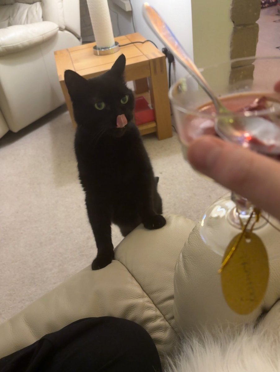 Tom Campbell tweet media