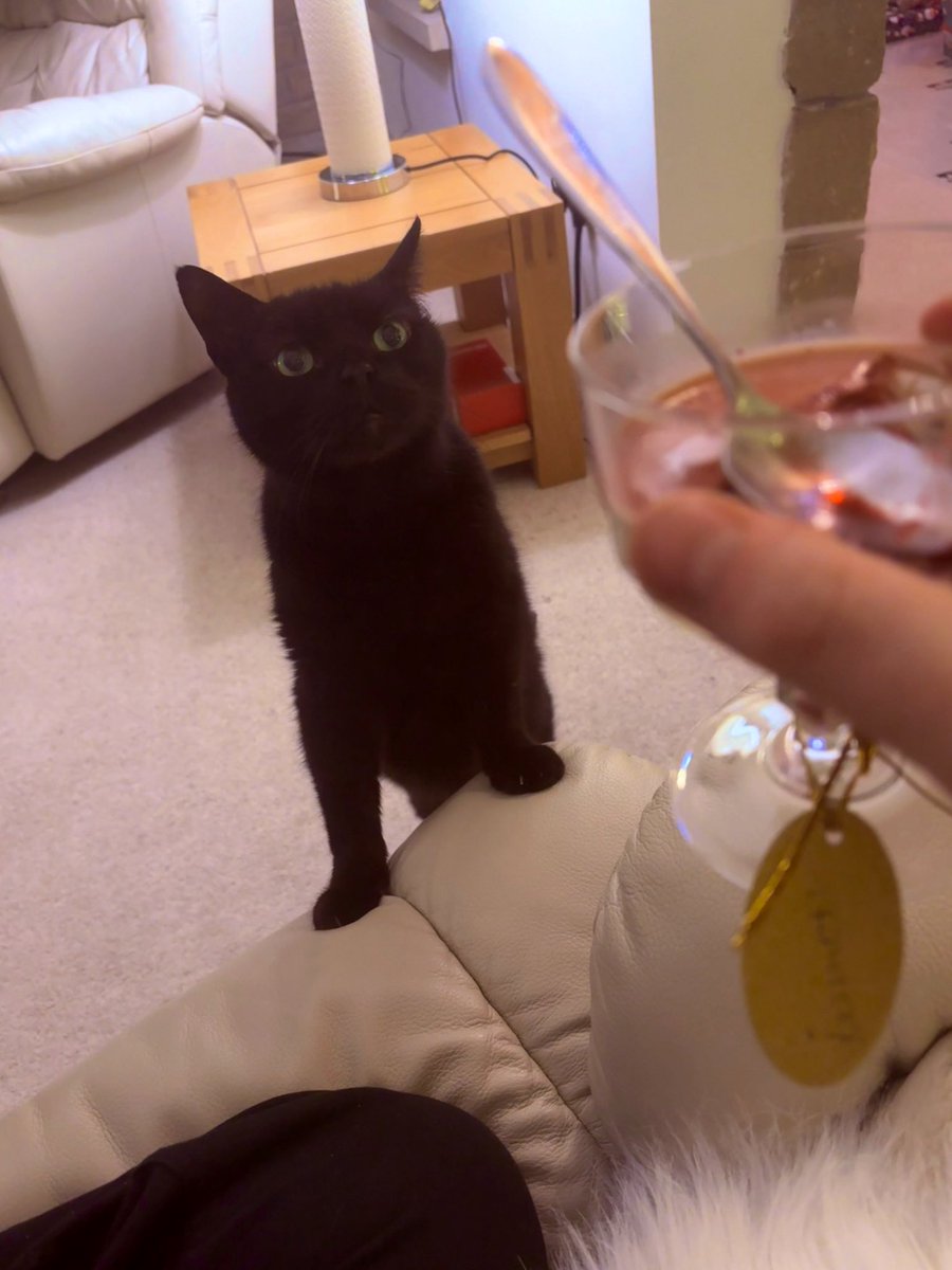 Tom Campbell tweet media