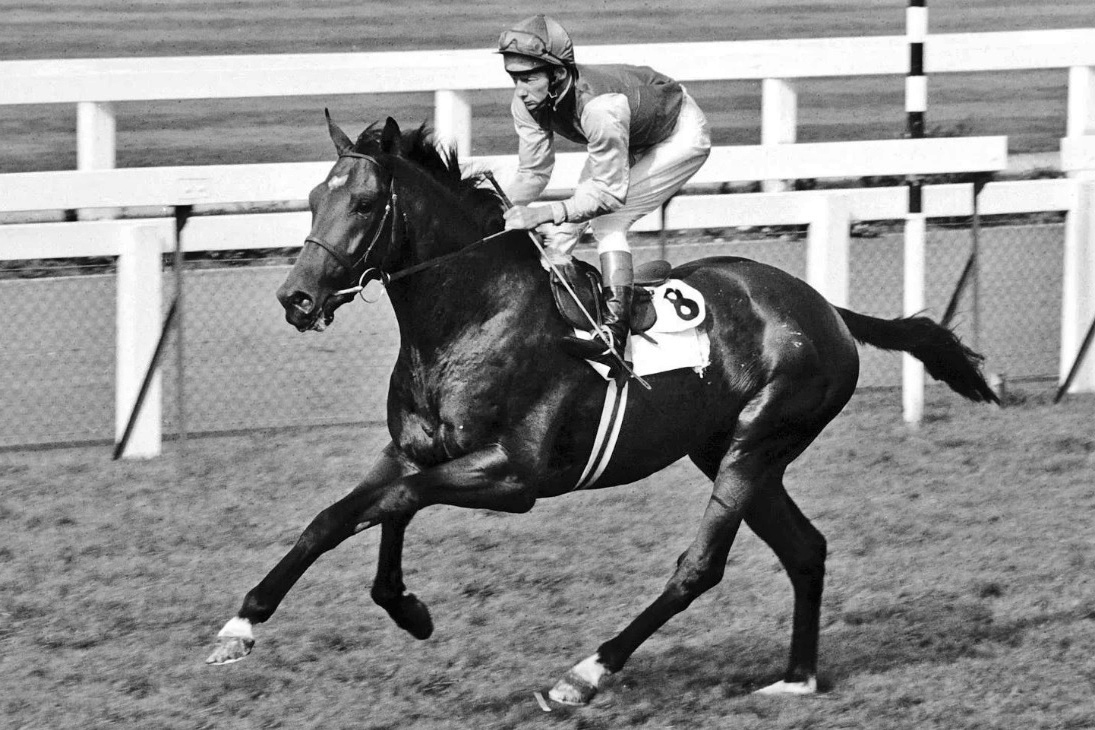 Pedigriye bakış açımı geliştirmek için dönem dönem kapsamlı araştırmalar yapıyorum. Gelin, veri girişi oldukça külfetli ama sonuçları da bir o kadar eğlenceli olan son çalışmamı birlikte inceleyelim. Konumuz Hız (Speed) vs. Dayanıklılık (Stamina).

Bu çalışmada, önemli pedigri