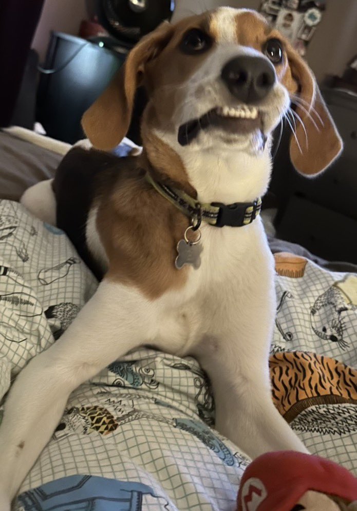 I miss him so fucking much