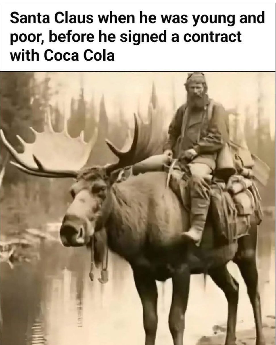 dogecoin_empire's tweet image. 