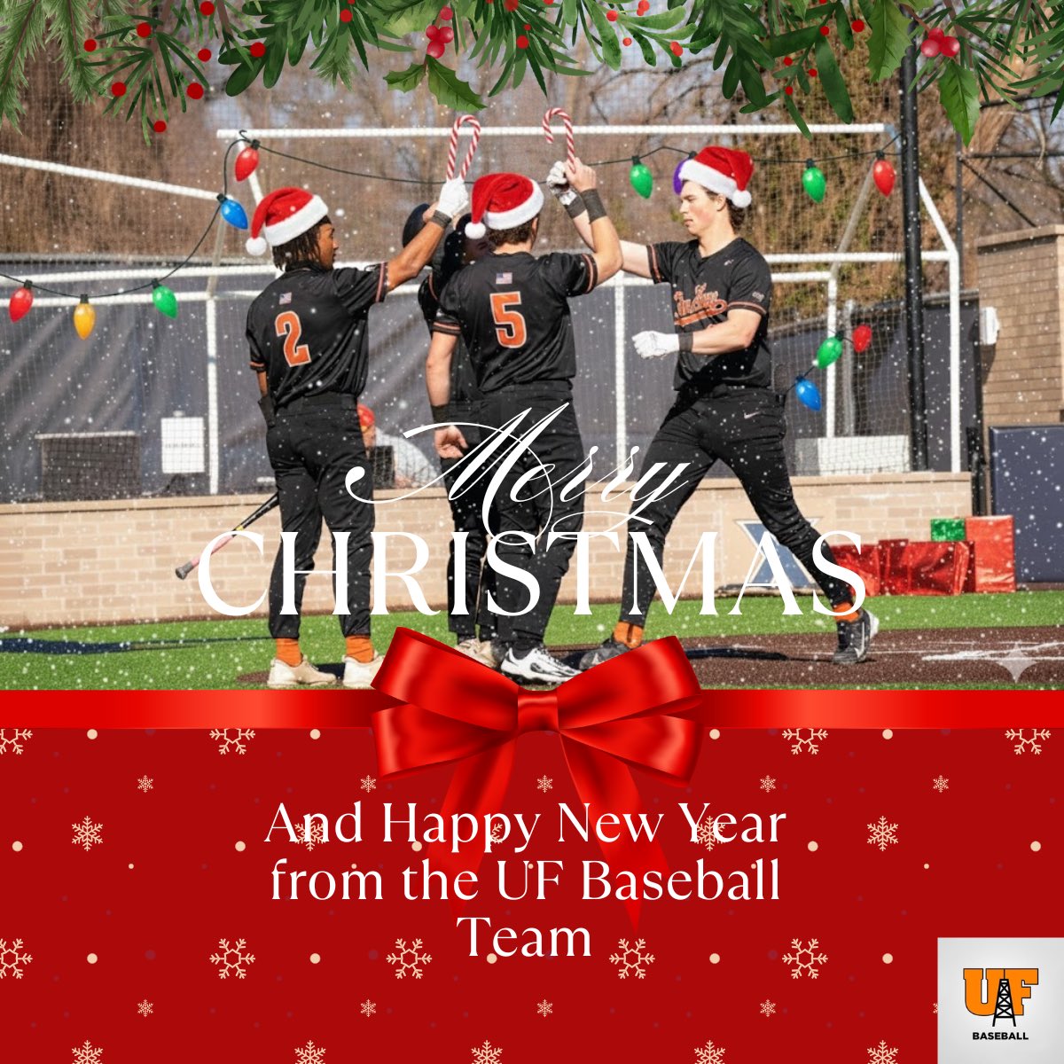 Findlay Baseball tweet media