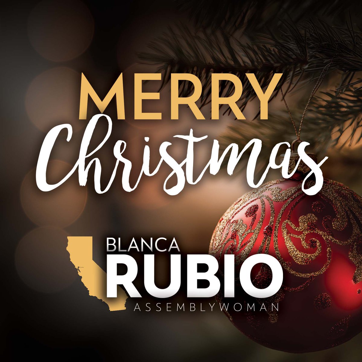 Blanca Rubio tweet media