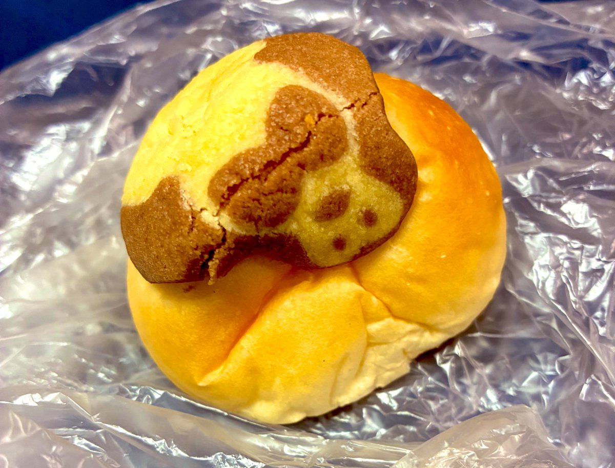 tamanohitori's tweet photo. 夜に来てくれてありがとう(*˙︶˙*)ﾉﾞ
クリスマスが終わってしまいました🎅早かったです💦
これから年末年始ですね😅
忙しないかもしれませんが体調気をつけましょう(⁎⁍̴̛ᴗ⁍̴̛⁎)
画像はペンギンのメロンパンですが潰れてました🐧😞
お礼遅くなります🙇‍♂️
 #メロンパン
 #パン https://t.co/HeyH6tgkQ4