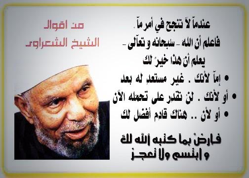 Cyber Saudi tweet media