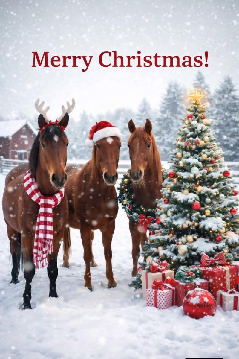 Arooma Ansar tweet media