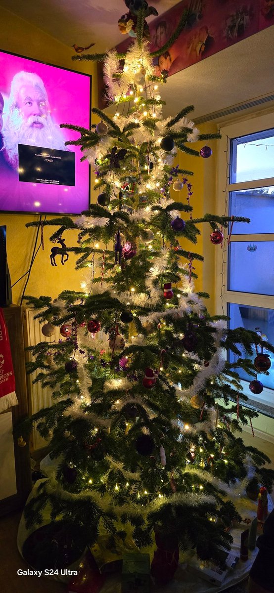 Fridolin tweet media