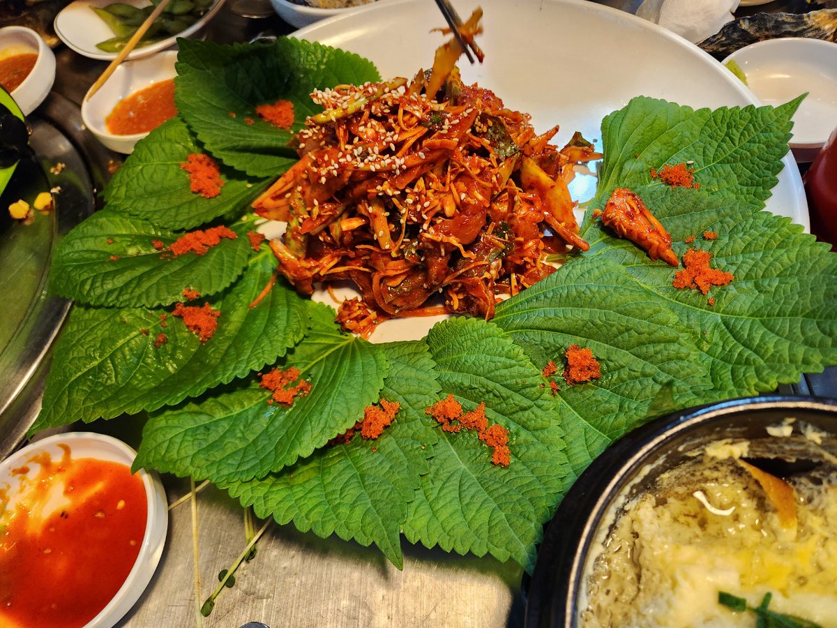 #제주섹트 #제주시 #제주 ㅇㄹ ㅅㅋㅅ 해드립니다 맛있게 ㅊㄹㅊㄹ 해드립니다 #남자구함 #남자환영 #일반인남 #호기심남 #커플남 #기혼남 #유부남 #40대 #30대 정ㅇ받이 되고싶다 미친듯 빨아드려요 #50대 #돌싱남 #텔레그램 gods2me #입봉지가되어드립니다