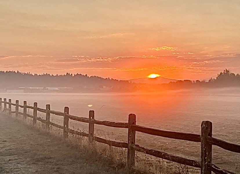 Pearson Air Museum tweet media