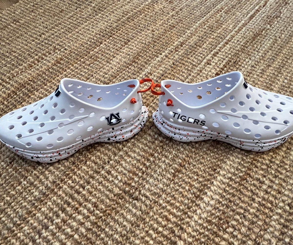 Jeb Sundgren 🐅 🦅 tweet media