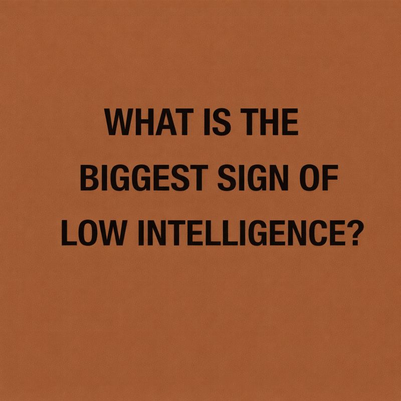 theamelia__'s tweet image. ??