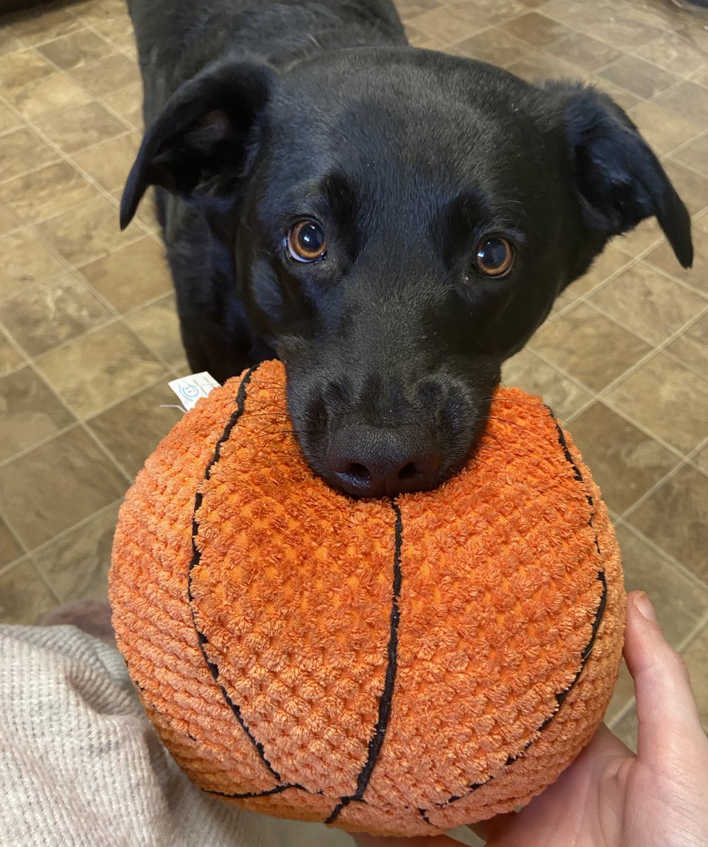 she got a present too