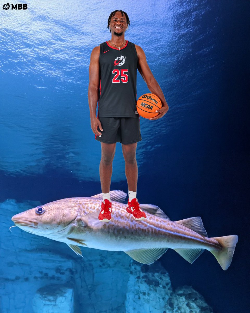 MSUM_MBB's tweet image. elf on a shelf: MSUM MBB EDITION 🎅🏀

Merry Christmas &amp;amp; Happy Holidays ❤️‍🔥

#ONEHEARTBEAT #ROLLDRAGS