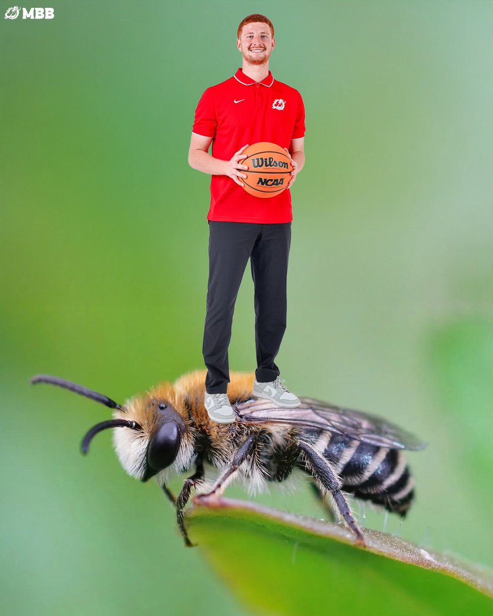 MSUM_MBB's tweet image. elf on a shelf: MSUM MBB EDITION 🎅🏀

Merry Christmas &amp;amp; Happy Holidays ❤️‍🔥

#ONEHEARTBEAT #ROLLDRAGS