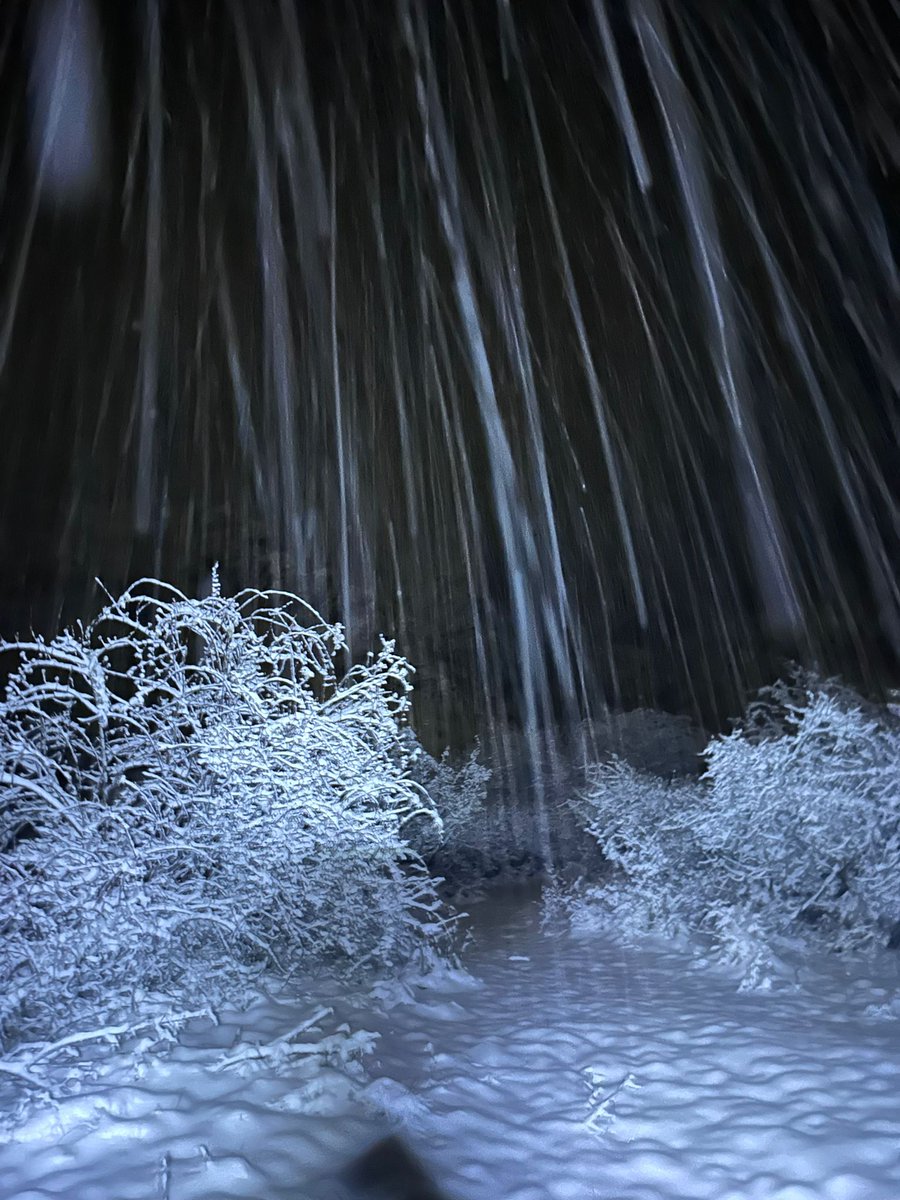 Sara | Thumbnail Strategist tweet media