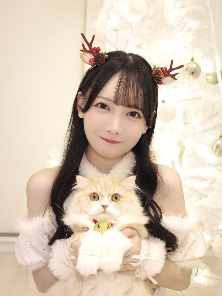 𝙼𝚎𝚛𝚛𝚢 𝙲𝚑𝚛𝚒𝚜𝚝𝚖𝚊𝚜🦌𓂃˚ ༘ •₊