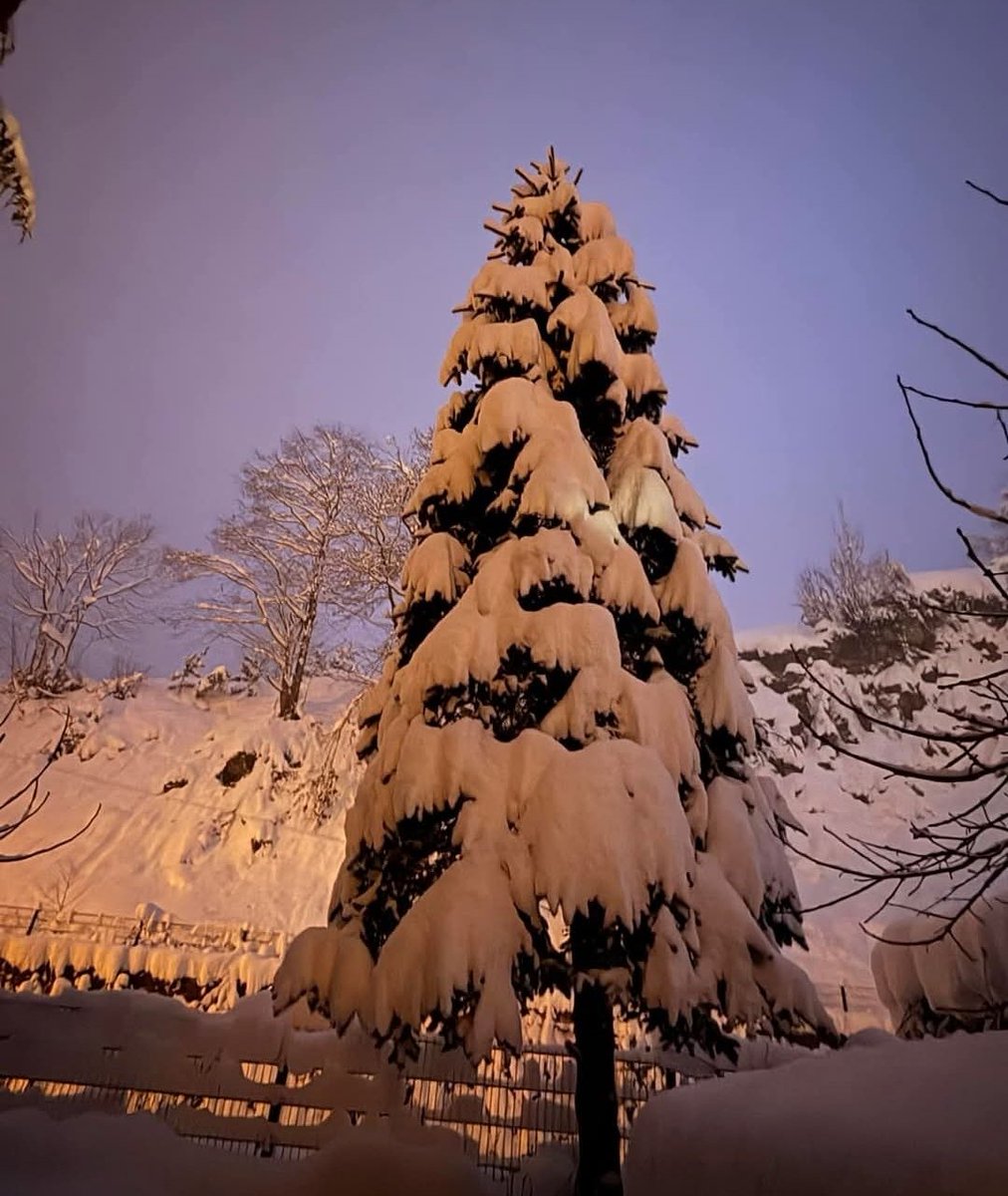 Cuma akşaminiz ve kandiliniz hayırlı olsun. Herkese mutlu akşamlar 💙💚