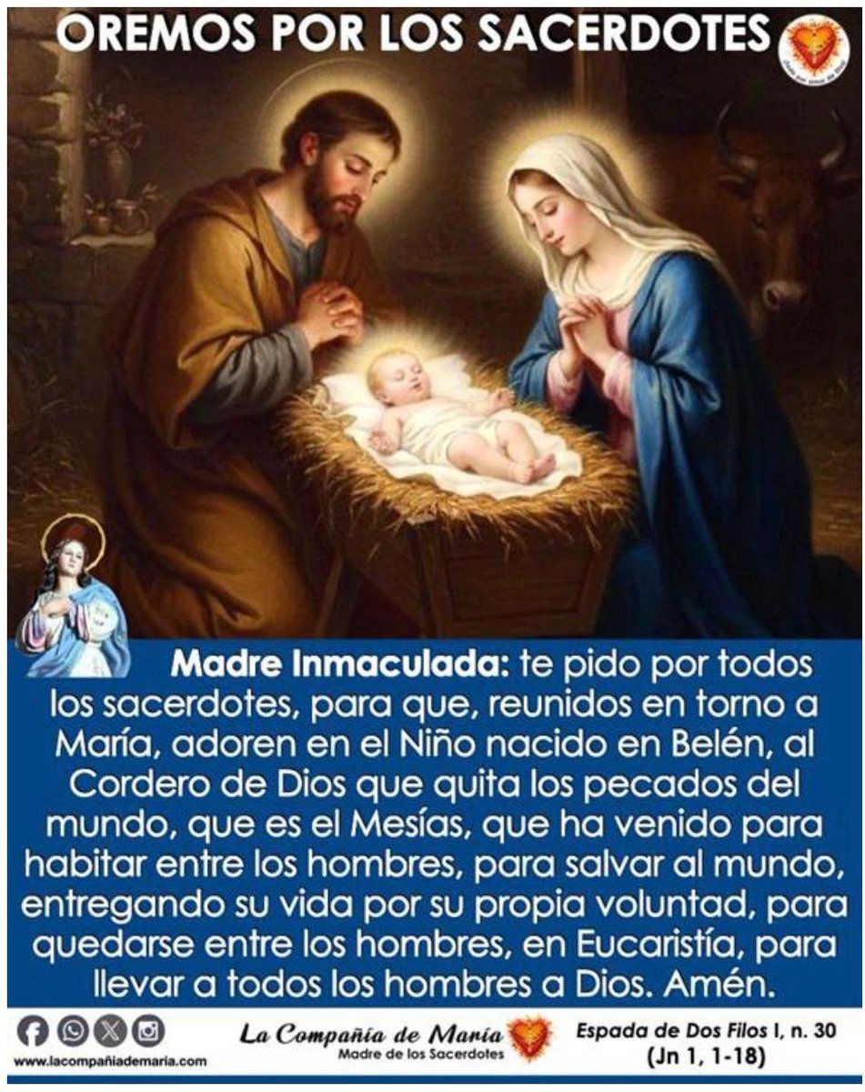 LaCompdeMaria's tweet image. Oremos por todos los sacerdotes 🙏 #sacerdote #iglesiacatolica #evangelio #oracion #maternidadespiritual @iglesiaMexico @ArquidiocesisT