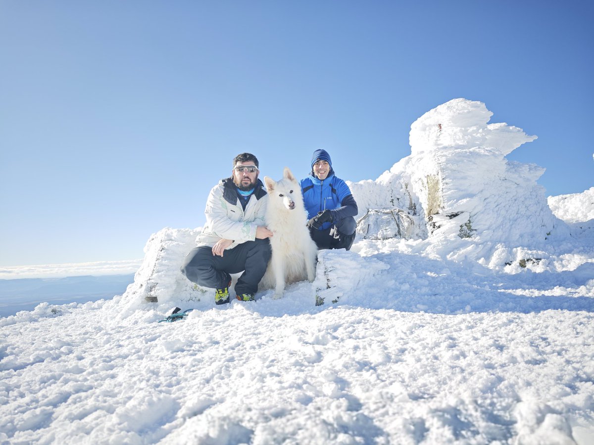 Al Filo Infrüngible tweet media