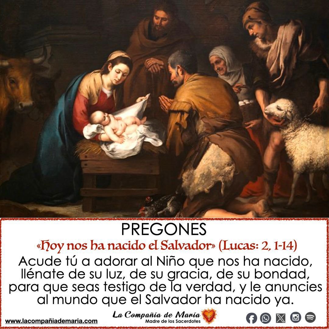 LaCompdeMaria's tweet image. NATIVIDAD DE NUESTRO SEÑOR JESUCRISTO
«Hoy nos ha nacido el Salvador».  Lucas: 2, 1-14
«¡Gloria a Dios en el cielo y paz a los hombres de buena voluntad! 🙏 #sacerdote #iglesiacatolica #lacompañiademaria #evangelio #oracion #maternidadespiritual @iglesiaMexico @ArquidiocesisT