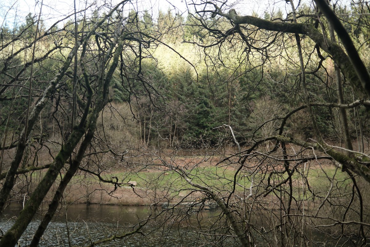 Robert Walton tweet media