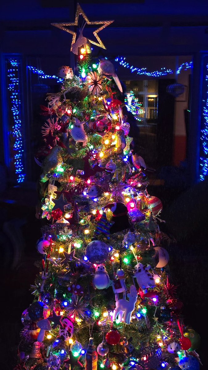 Simon Tanner 🐝 tweet media