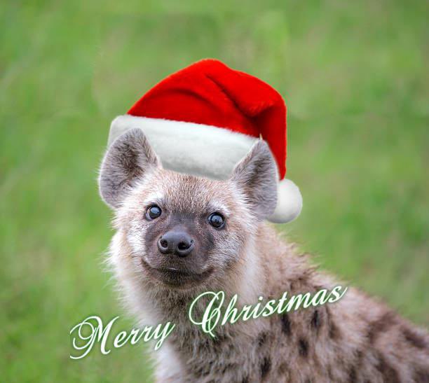 Merry Christmas ya filthy animals