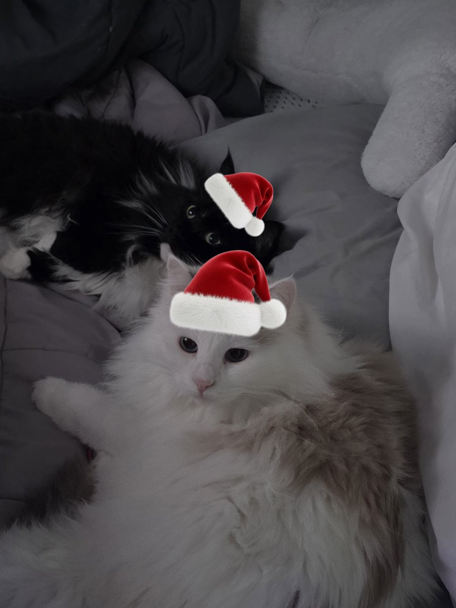 NariRe0's tweet photo. 메리크리스마스 🎄🎄🎄 https://t.co/K9iWgxRT0W