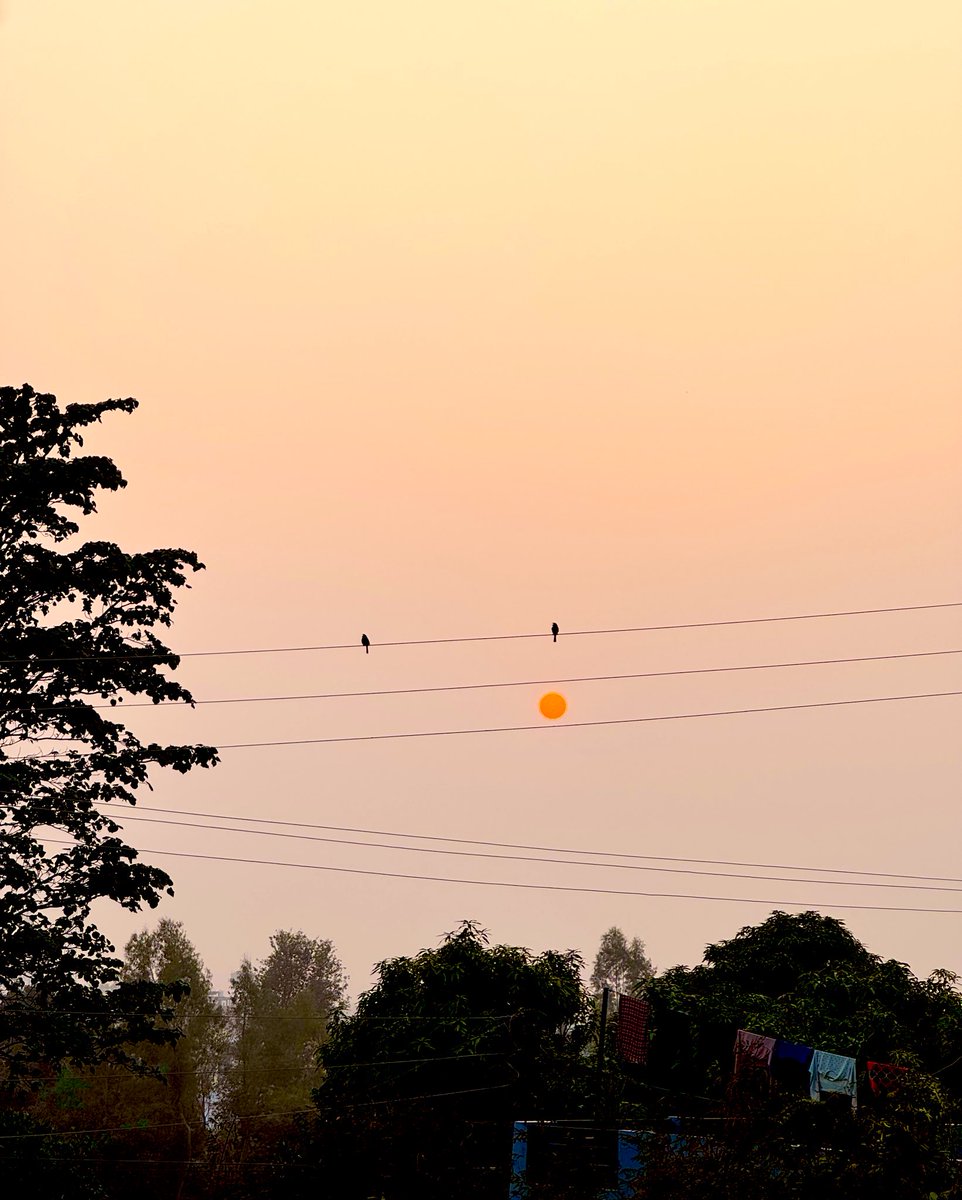 Abhishek Joshi 👨‍💻🐶 tweet media