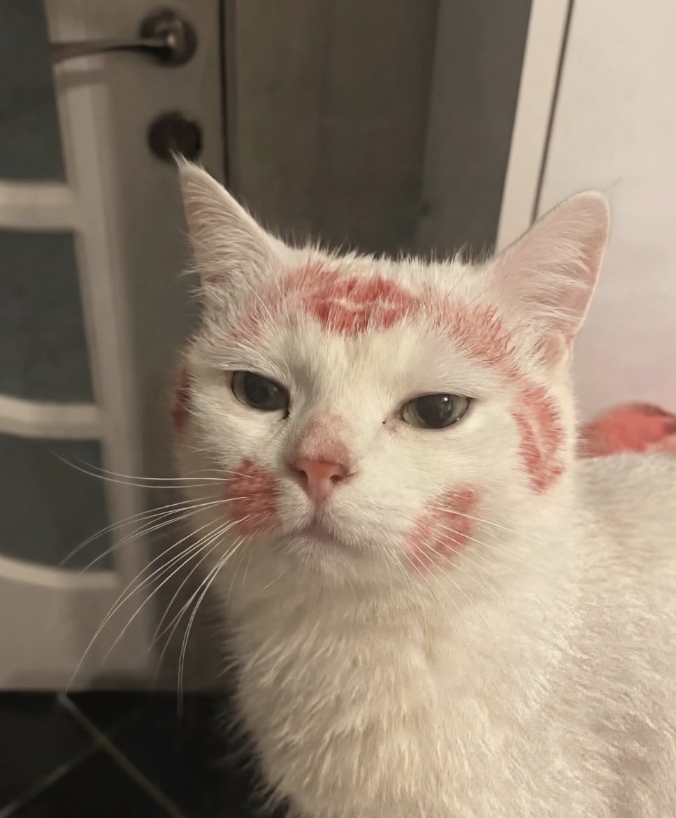 Someone got her Christmas gift