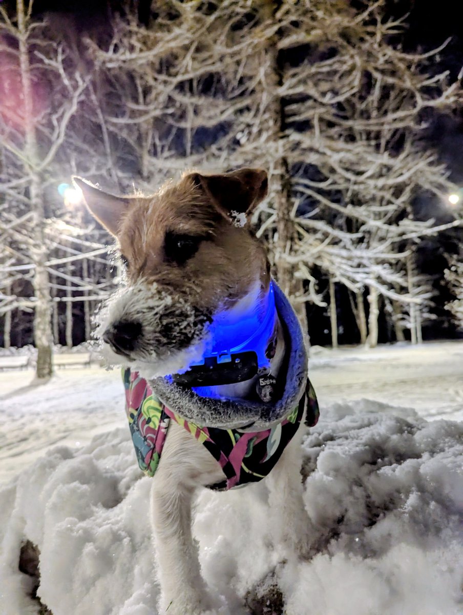 В этот #носочетверг к нам заглянул дед Мороз. Жаль, снега уже нет, но вспомним, порадуемся