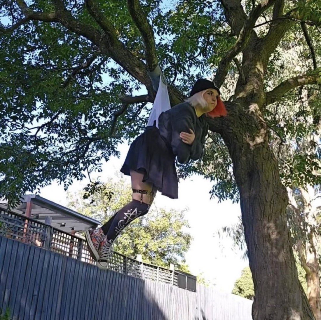 “ I am not a fricken tree ornament … “

Ash is having an interesting morning .