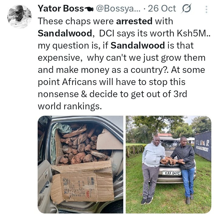 I am Chege tweet media