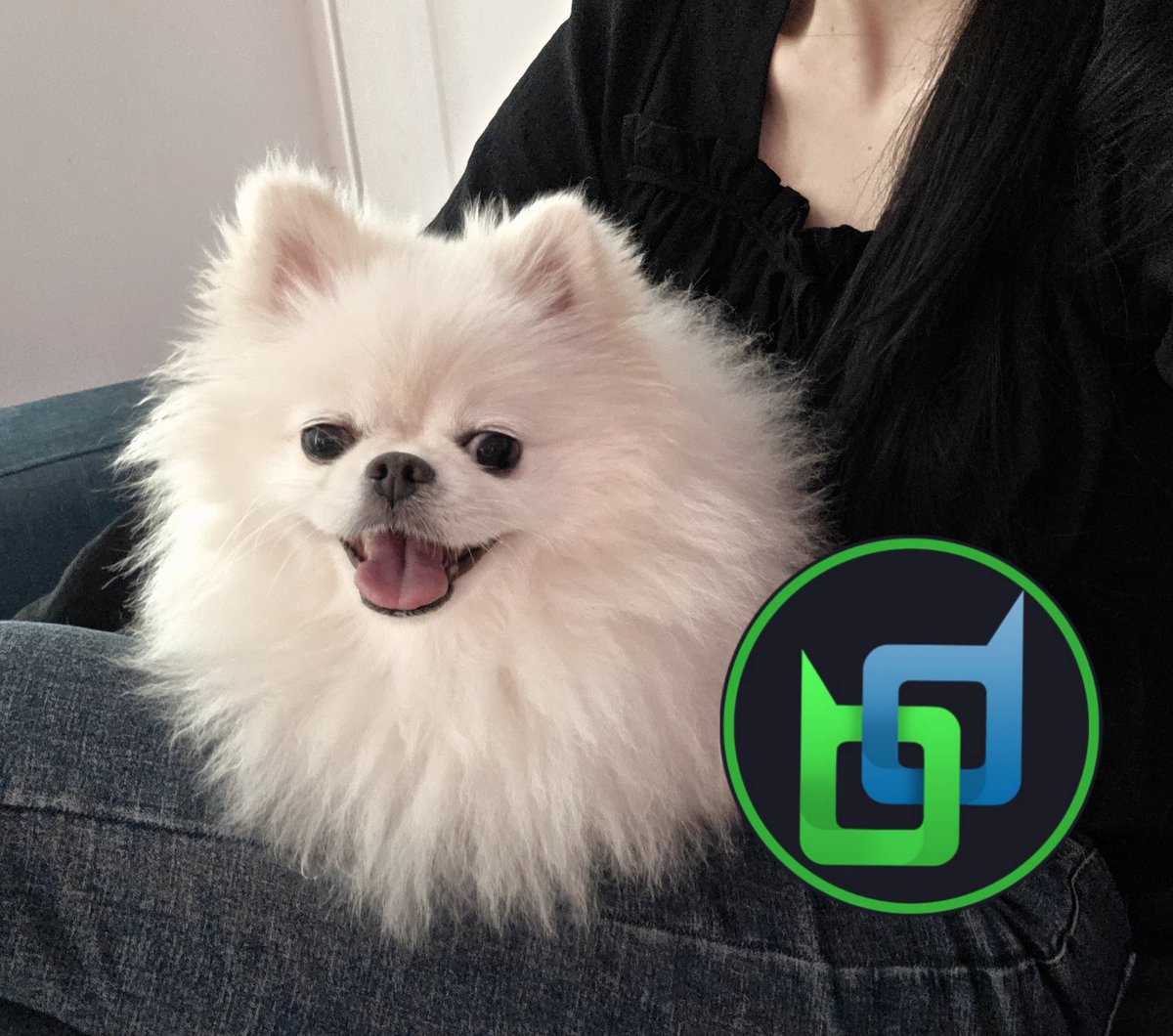 ◠↝@𝑮𝑺𝑬𝑶8] 테더해킹프로그램✓비트코인해킹✓이더리움해킹◠↝부산◠↝ŧ◠↝ˇ◠↝인천◠↝⇒◠↝인천◠↝˛.픠..ywj