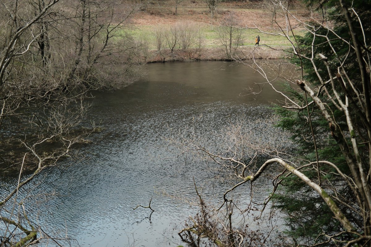 Robert Walton tweet media