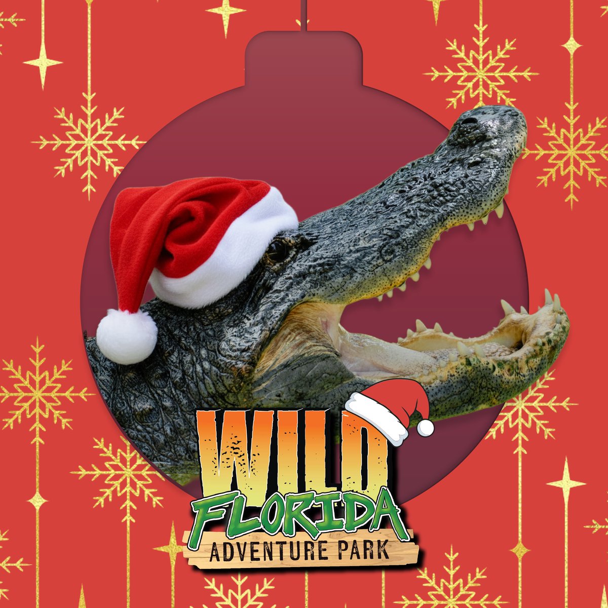 Wild Florida tweet media