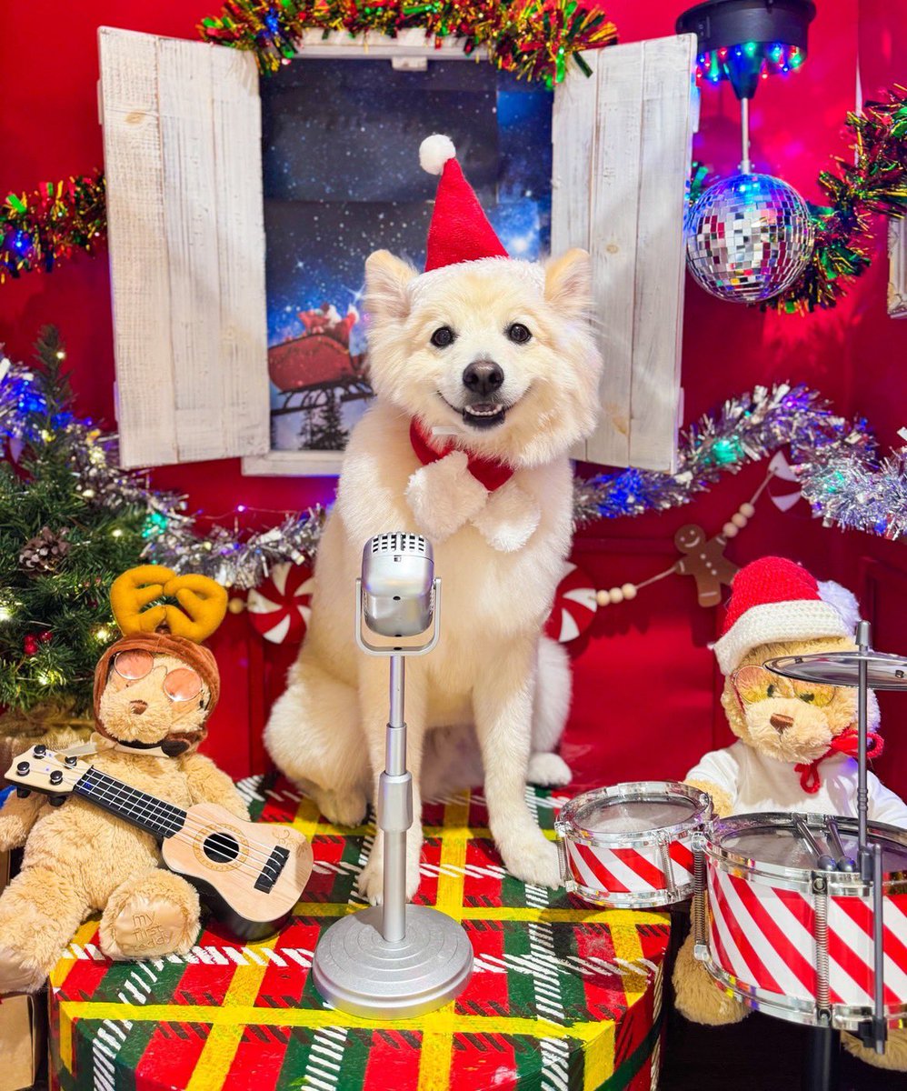 とーや🍮 (@touyach0724) / Posts / X