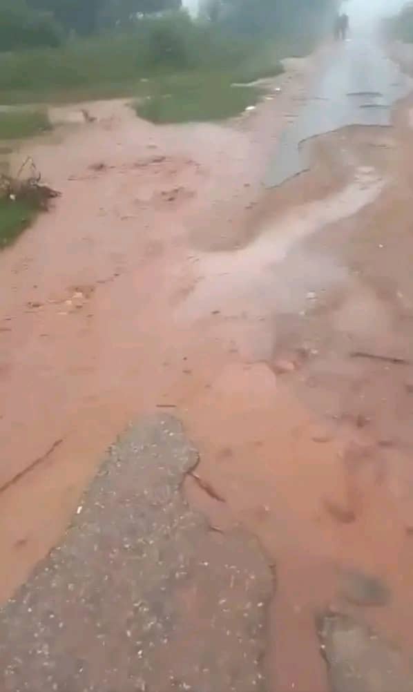 kerina mujati tweet media