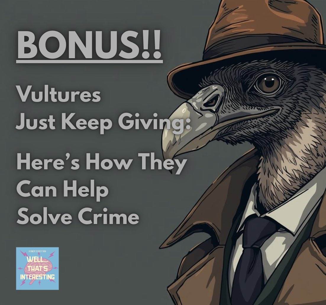 Well... That’s Interesting tweet media