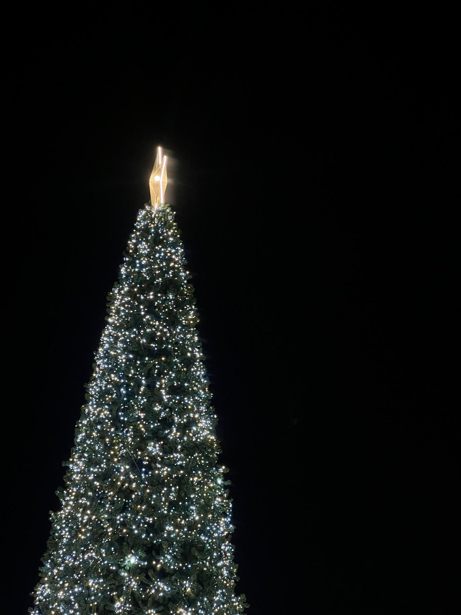 poon_mit12's tweet photo. merry christmas : ) https://t.co/oou8EHzT1l
