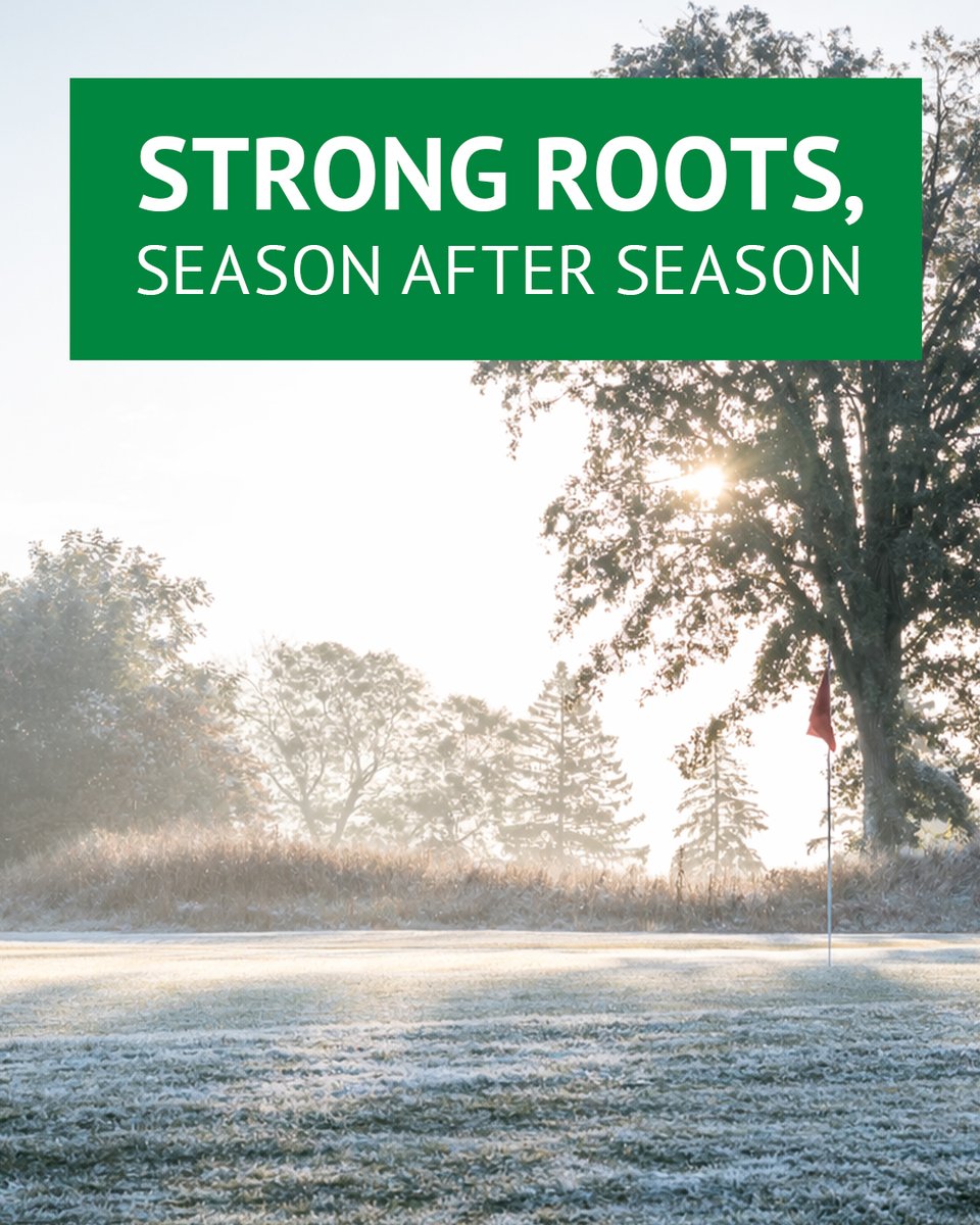 Profile Golf tweet media