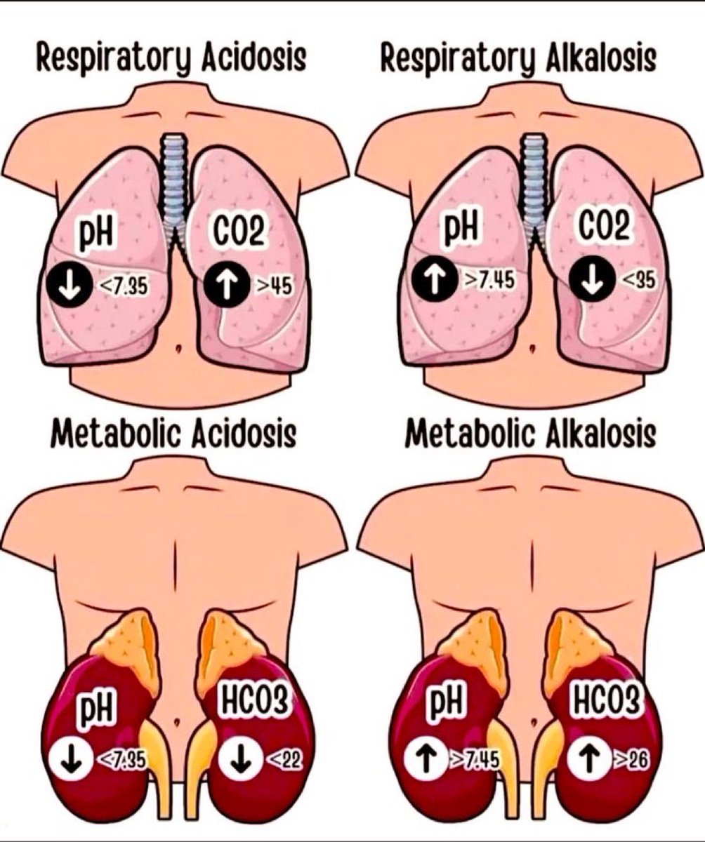 DOCTORS SQUAD 🩺 (@doctors_squad) on Twitter photo 